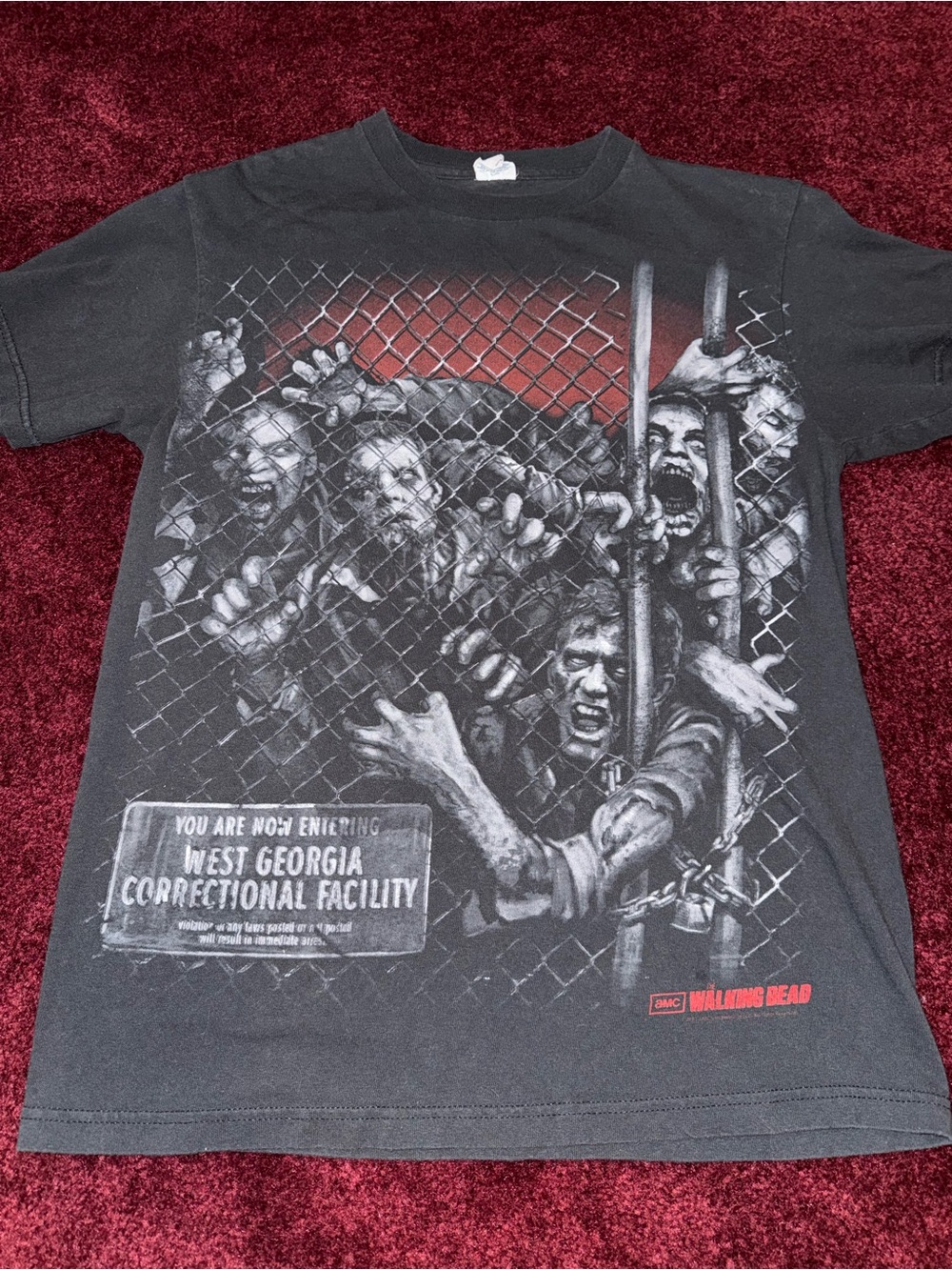 Y2K AMC The Walking Dead Zombie Georgia Prison Men’s Size M 2013 Black Tee